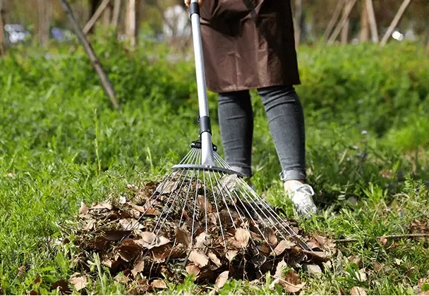 Adjustable Leaf Rake
