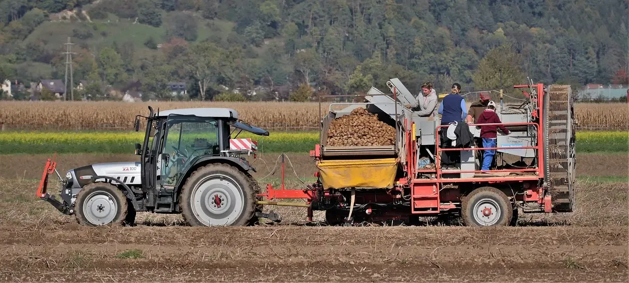 Potato Harvester: working principle, function and precautions for use