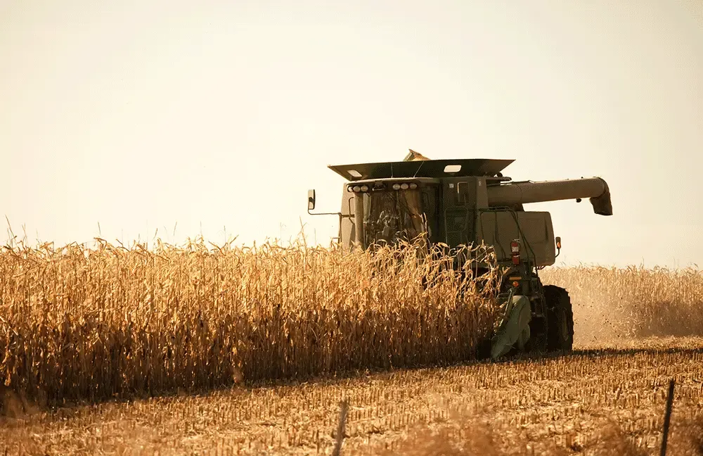 Corn Harvesting Secrets: Types, Differences, and Buying Guide for Corn Harvesters