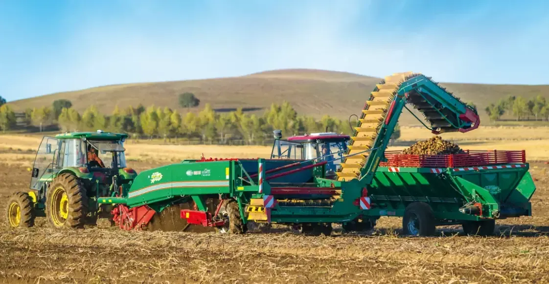 Potato Combine Harvester