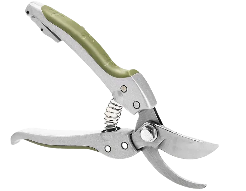 Pruning Shears