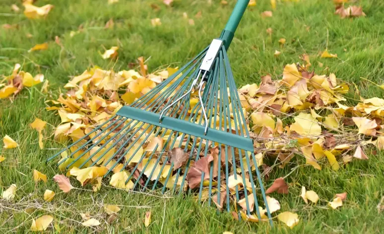 Leaf rake can be adjusted in length, and wide rake head to quickly collect leaves