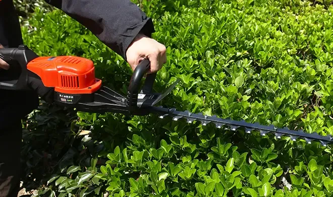 Electric hedge trimmer working