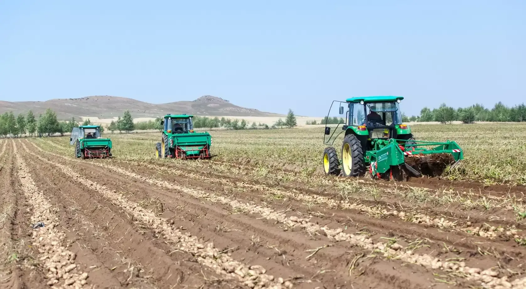 Medium-size potato harvester working