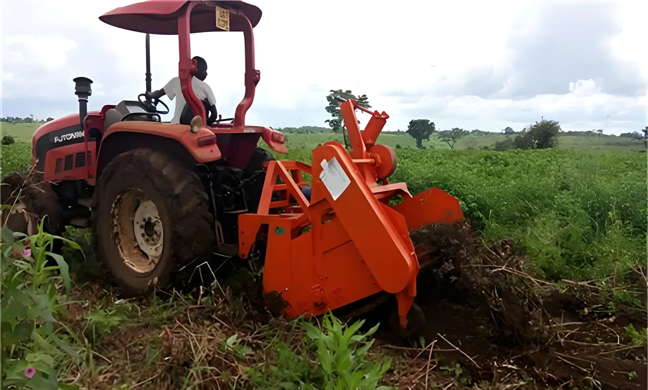 Mechanical harvesting of cassava